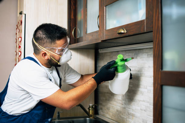Best Cockroach Control Services  in Pahala, HI