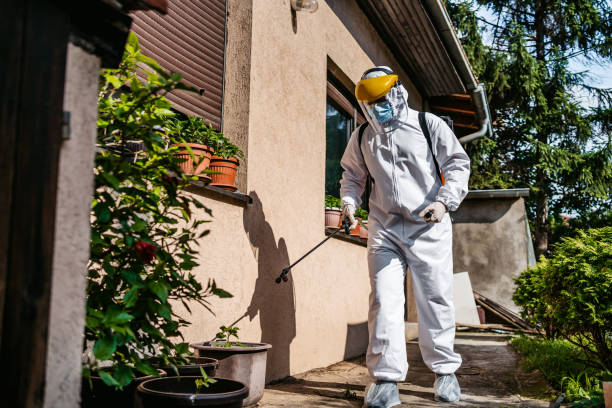 Best Insect Control  in Pahala, HI