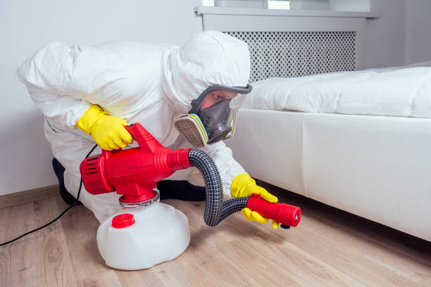 Best Pest Inspection Near Me  in Pahala, HI