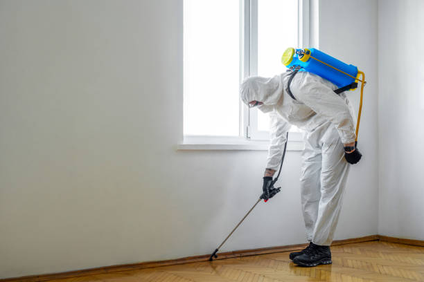 Professional Pest Control in Pahala, HI