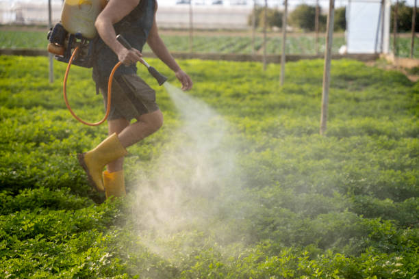 Best Exterminator Services  in Pahala, HI