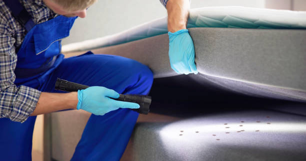 Best Flea Control Services  in Pahala, HI