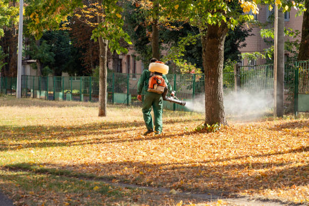 Best Residential Pest Control  in Pahala, HI
