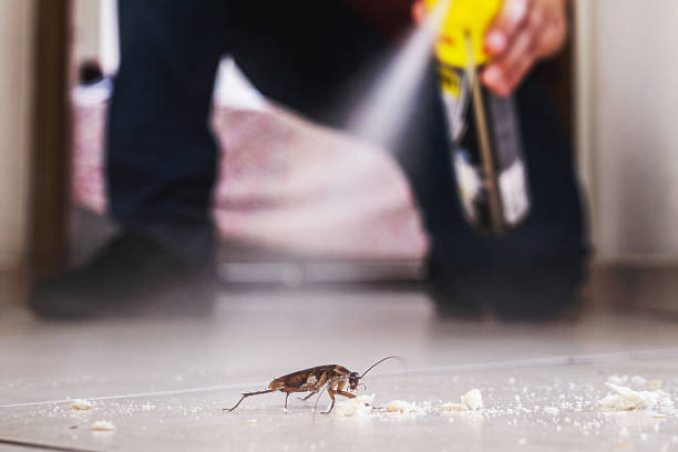 Pest Control Cost in Pahala, HI